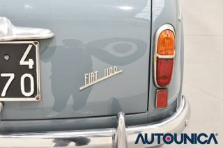 FIAT 1100 usata 48