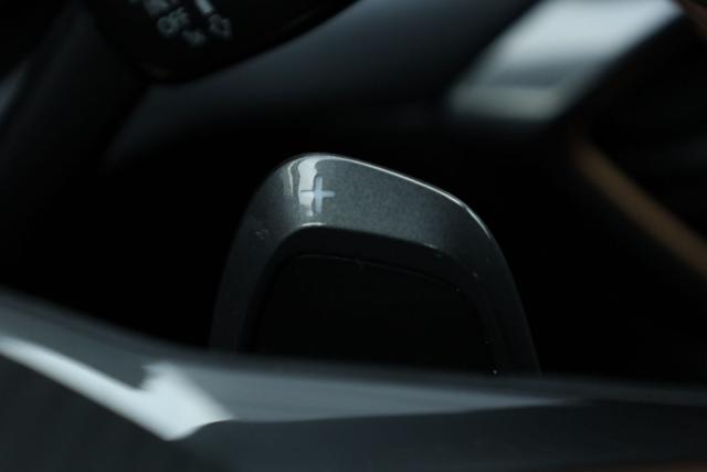 SEAT Leon usata, con Bracciolo