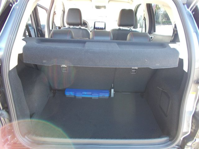 FORD EcoSport usata, con Servosterzo