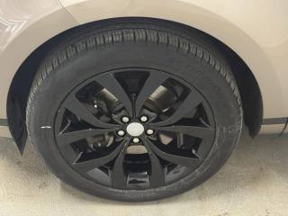 LAND ROVER Range Rover Evoque usata, con Airbag Passeggero