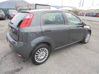 FIAT Punto usata 12