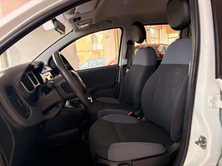 FIAT Panda usata, con Fendinebbia