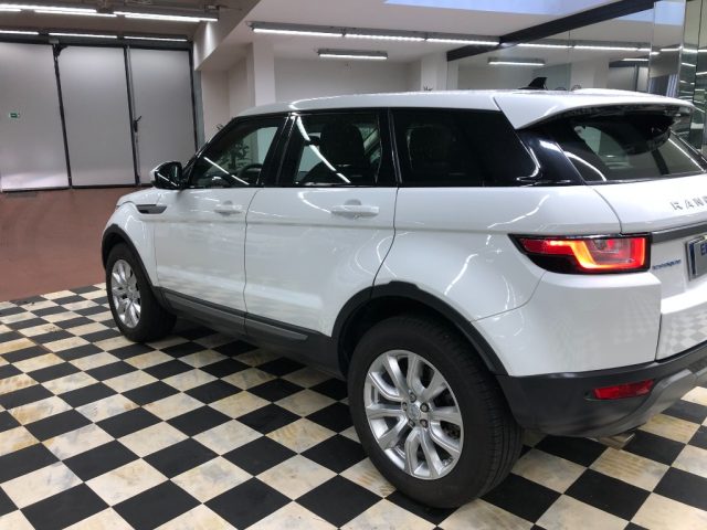 LAND ROVER Range Rover Evoque usata, con Airbag Passeggero