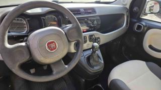 FIAT Panda usata, con Chiusura centralizzata