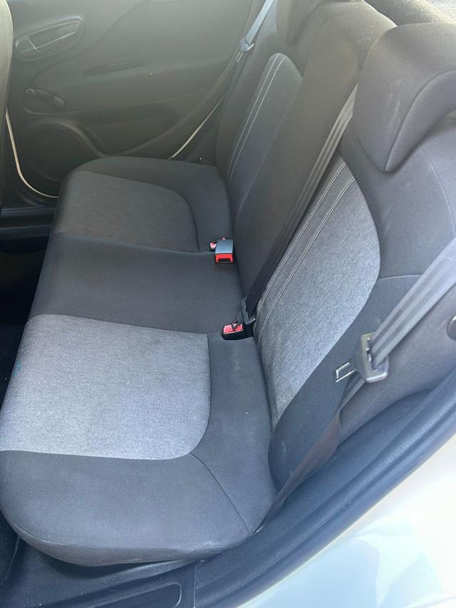 FIAT Punto usata 18