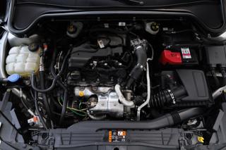 FORD Focus usata, con Climatizzatore automatico, 2 zone