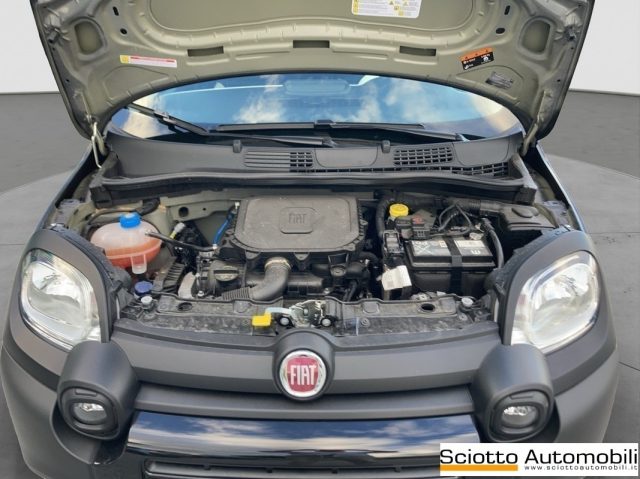 FIAT Panda usata, con Sensori di parcheggio posteriori
