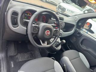 FIAT Panda usata, con Volante multifunzione