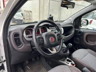 FIAT Panda Cross usata, con Climatizzatore