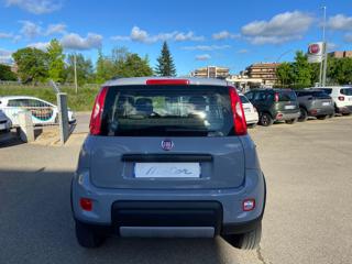 FIAT Panda usata, con Antifurto