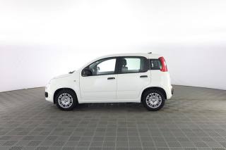 FIAT Panda usata 6