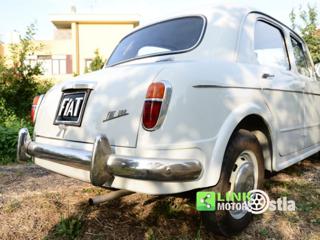 FIAT 1100 usata 43
