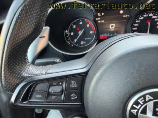 ALFA ROMEO Stelvio usata, con Park Distance Control