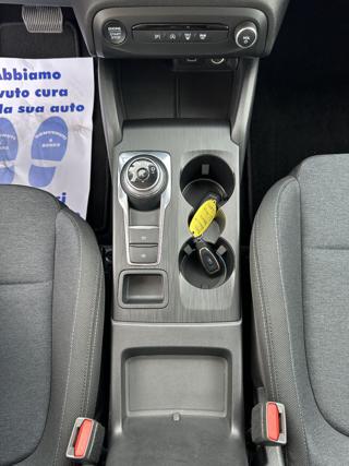 FORD Focus usata, con Climatizzatore