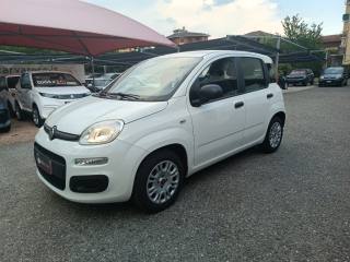 FIAT Panda usata, con Airbag Passeggero