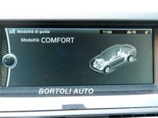 BMW 520 usata, con Vivavoce