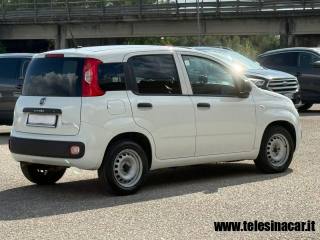 FIAT Panda usata 5