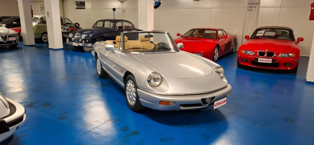 ALFA ROMEO Spider usata 16