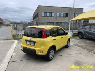 FIAT Panda usata, con Antifurto