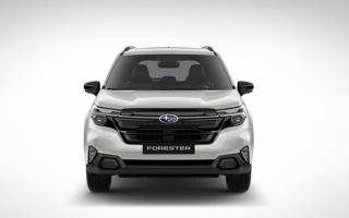 SUBARU Forester usata, con Alzacristalli elettrici