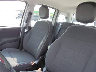 FIAT Panda usata 19