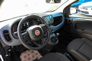 FIAT Panda usata, con Fendinebbia