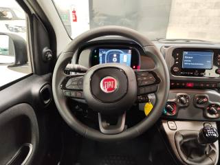 FIAT Panda usata 11