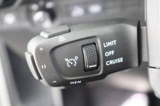 DS AUTOMOBILES DS 7 usata, con ESP