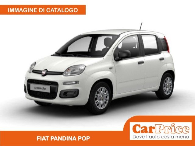 FIAT Pandina usata, con Airbag