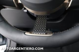 MINI Countryman usata, con Cronologia tagliandi