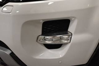 LAND ROVER Range Rover Evoque usata 14