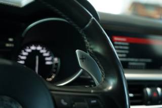 ALFA ROMEO Stelvio usata, con Leve al volante