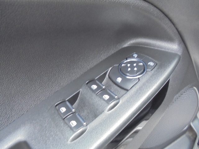 FORD EcoSport usata, con Sensore di luce