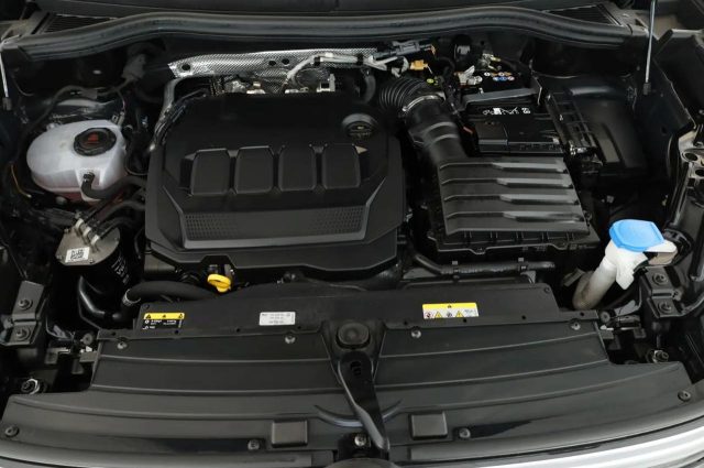 VOLKSWAGEN Tiguan usata, con Park Distance Control