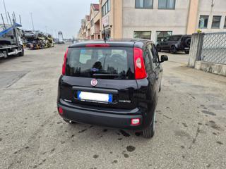 FIAT Panda usata, con Chiusura centralizzata