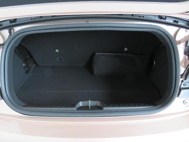 FIAT 500e usata, con Controllo automatico clima