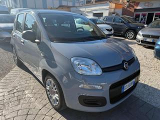 FIAT Panda 1.0 FireFly S&S Hybrid Eas 5 posti no obbligo fina
