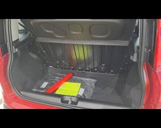 FIAT New Panda usata 21
