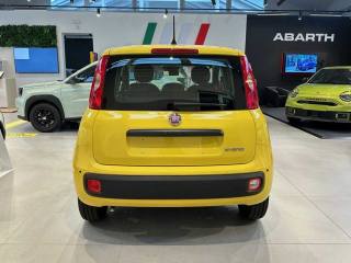 FIAT Panda usata, con Antifurto