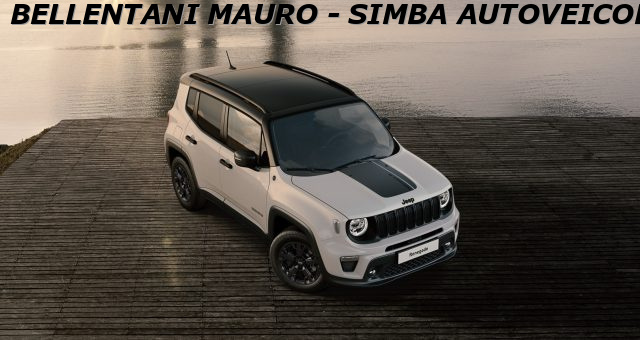 JEEP Renegade usata, con Cerchi in lega
