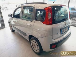 FIAT Panda usata, con Airbag Passeggero