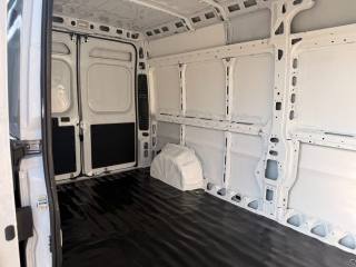 FIAT Ducato usata, con Servosterzo