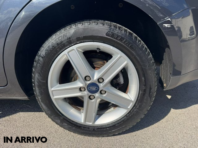 FORD Focus usata 16