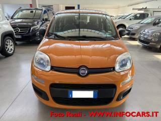 FIAT Panda usata 14