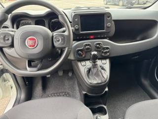 FIAT Panda Cross usata, con Fendinebbia