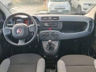 FIAT Panda usata, con Airbag testa