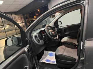 FIAT New Panda usata, con Alzacristalli elettrici