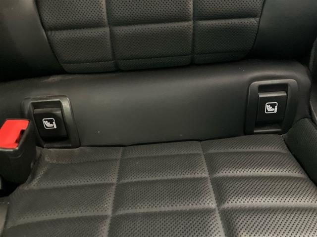 RENAULT Austral usata 29