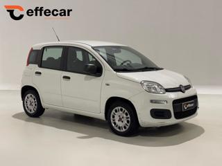 FIAT Panda usata, con Airbag Passeggero