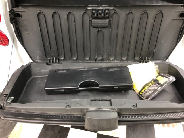 SMART ForTwo usata, con Tetto panorama